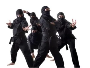 Howste Ninjas Working For You